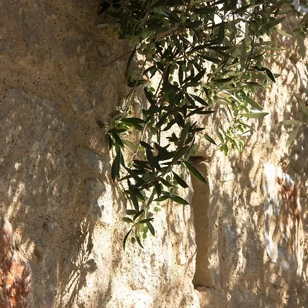 Orfea's Place Appartement Riglia