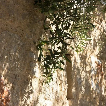 Orfea's Place Apartment Riglia