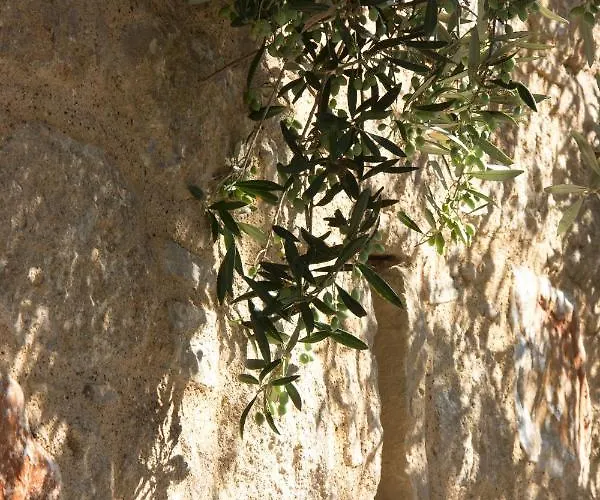 Orfea's Place Apartamento Riglia